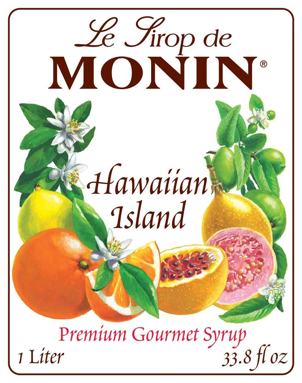 Hawaiian Island Syrup - Image 4